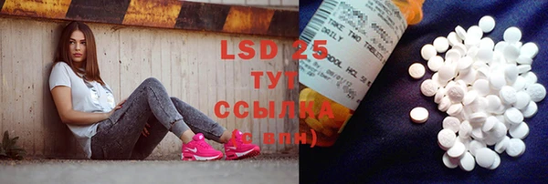 ГАЛЛЮЦИНОГЕННЫЕ ГРИБЫ Сатка