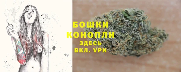 ГАЛЛЮЦИНОГЕННЫЕ ГРИБЫ Сатка