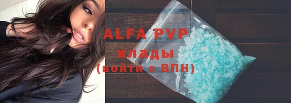 ГАЛЛЮЦИНОГЕННЫЕ ГРИБЫ Сатка
