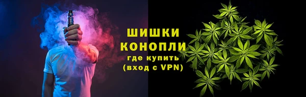 ГАЛЛЮЦИНОГЕННЫЕ ГРИБЫ Сатка