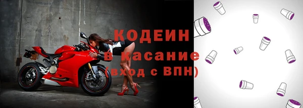 ГАЛЛЮЦИНОГЕННЫЕ ГРИБЫ Сатка