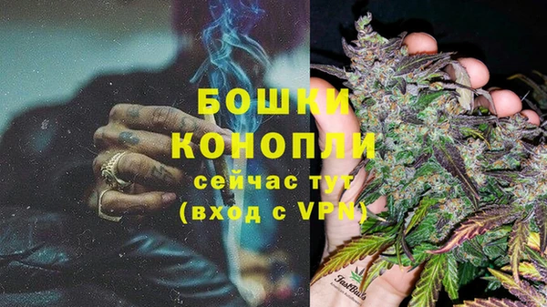 ГАЛЛЮЦИНОГЕННЫЕ ГРИБЫ Сатка