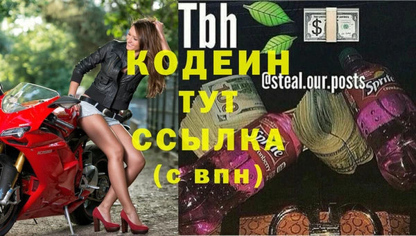 ГАЛЛЮЦИНОГЕННЫЕ ГРИБЫ Сатка