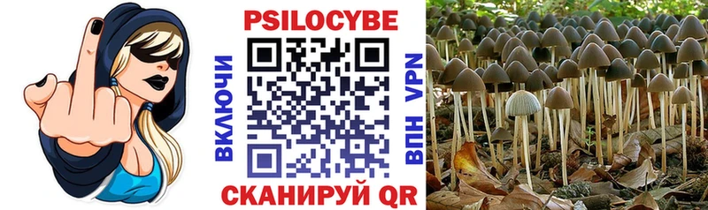 Галлюциногенные грибы мухоморы  Собинка 